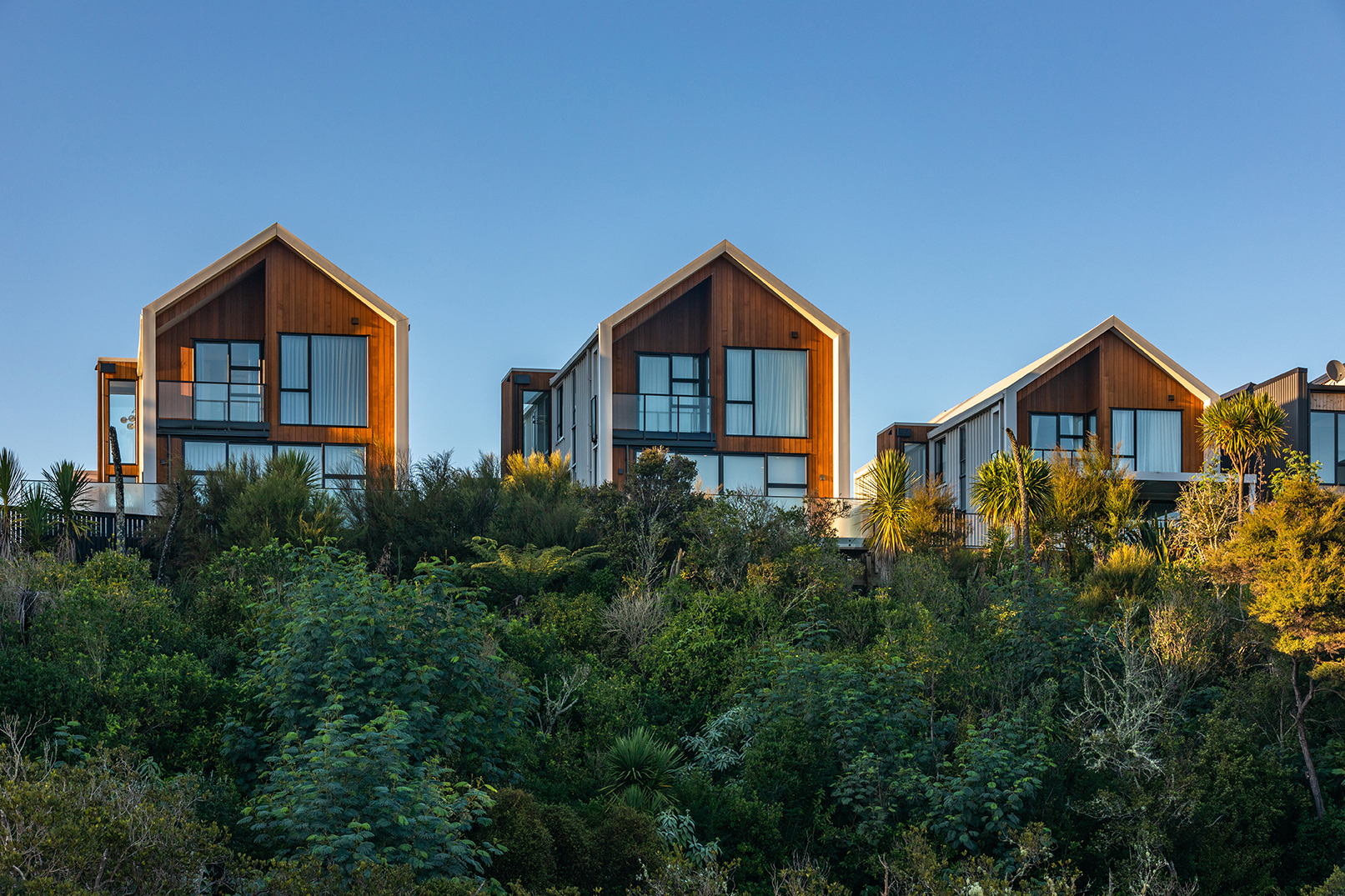 Long Bay House — Standalone Houses, Long Bay, Auckland